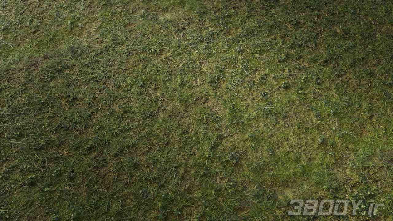متریال چمن lawn grass عکس 1